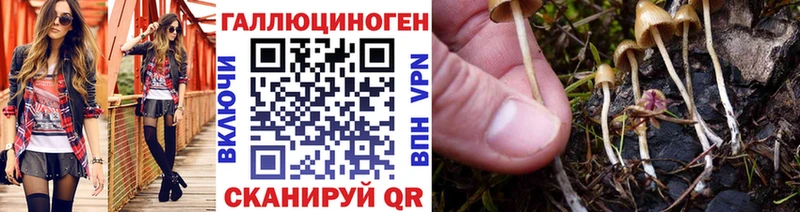 Галлюциногенные грибы Psilocybe  Купить где  Свободный 