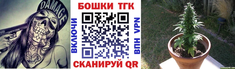 Каннабис план  Купить где  Свободный 